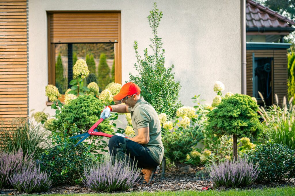 Gardener Pruning Shrubs and Flowers in a Well-Maintained Backyard Garden During Sunny Weather